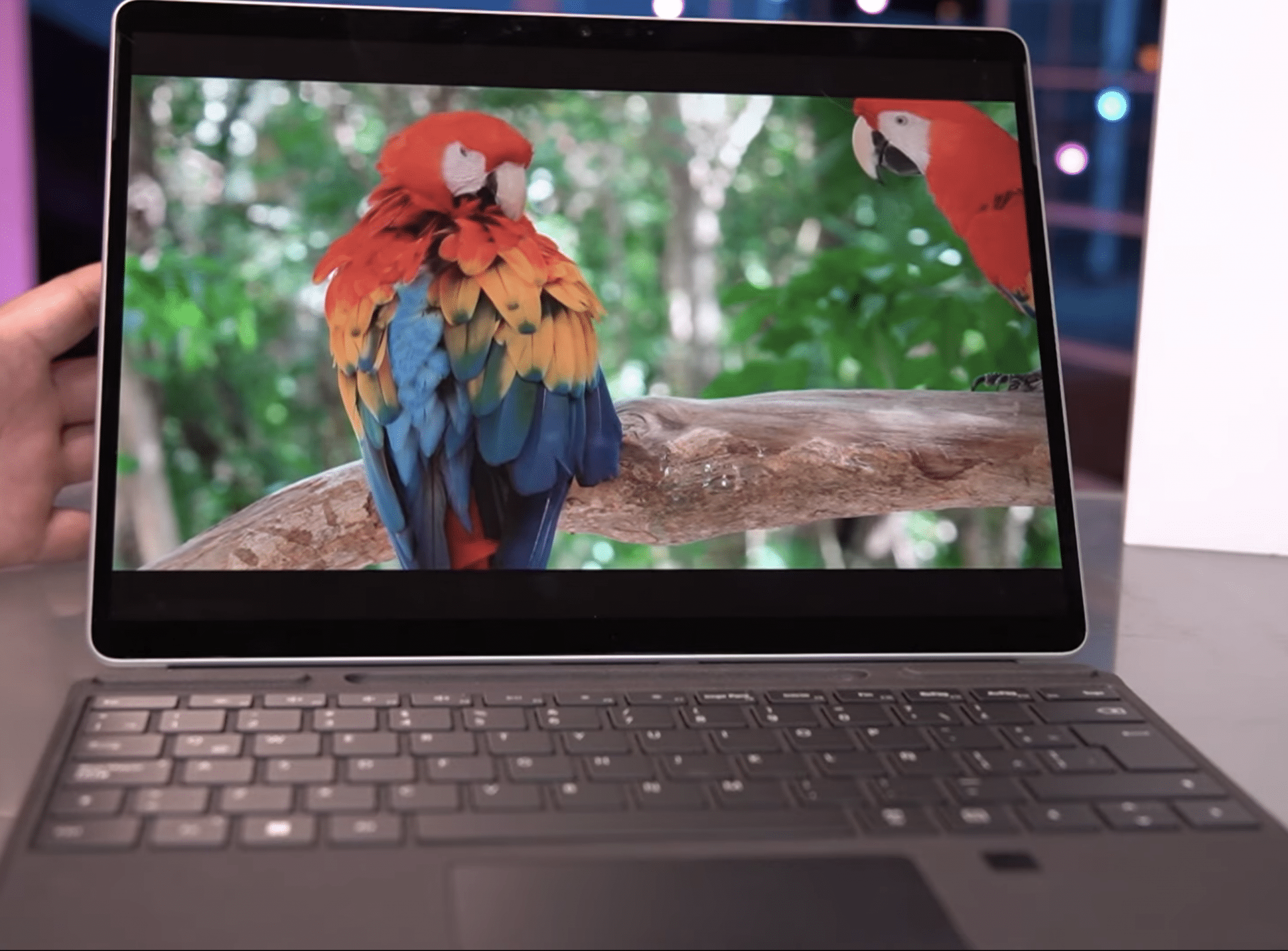 10 Best Laptops with Backlit Keyboard 2024 Laptop Study Find the cheapest & best laptop