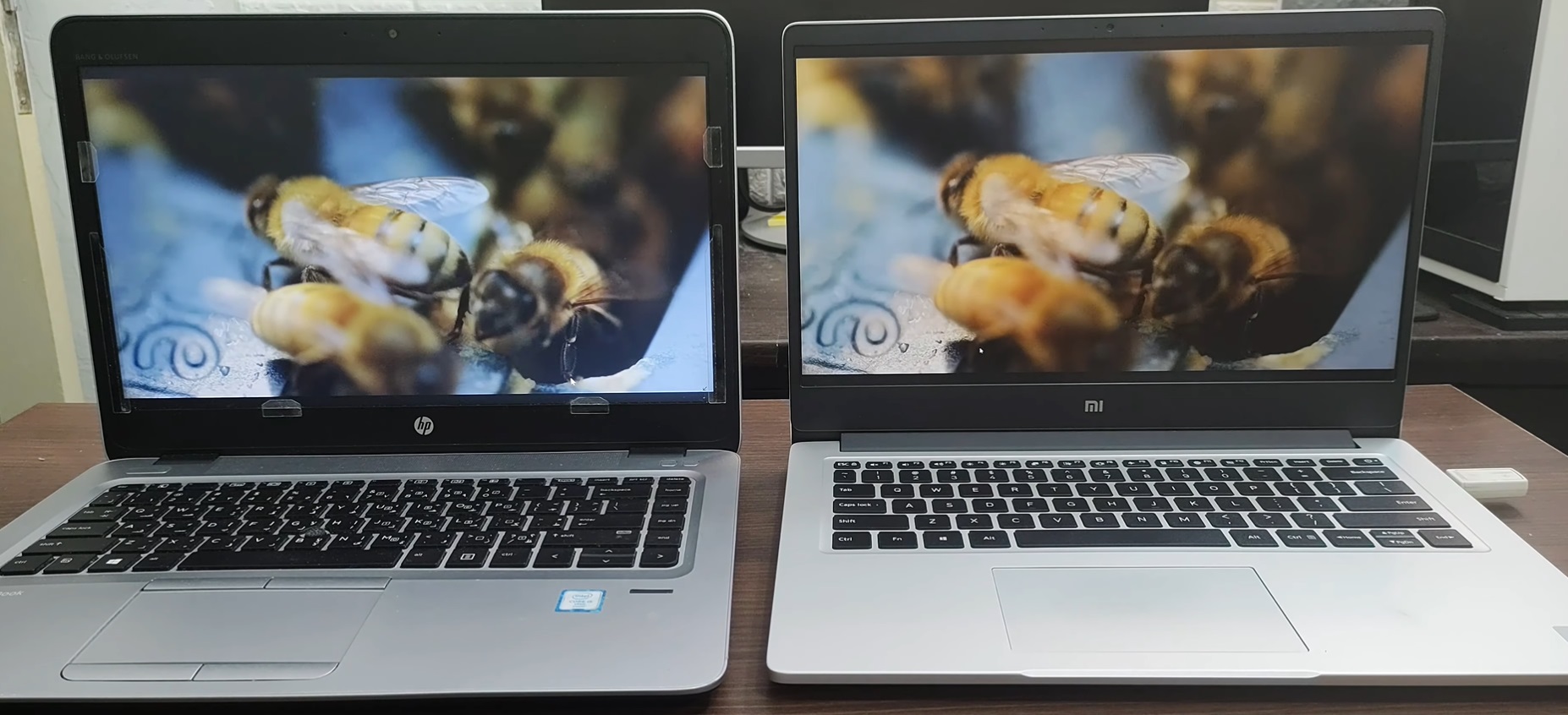 Display Types Laptops 2025 - Laptop Study - Find the cheapest & best laptop